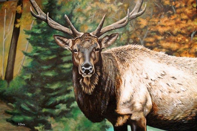 Le roi de la forêt
