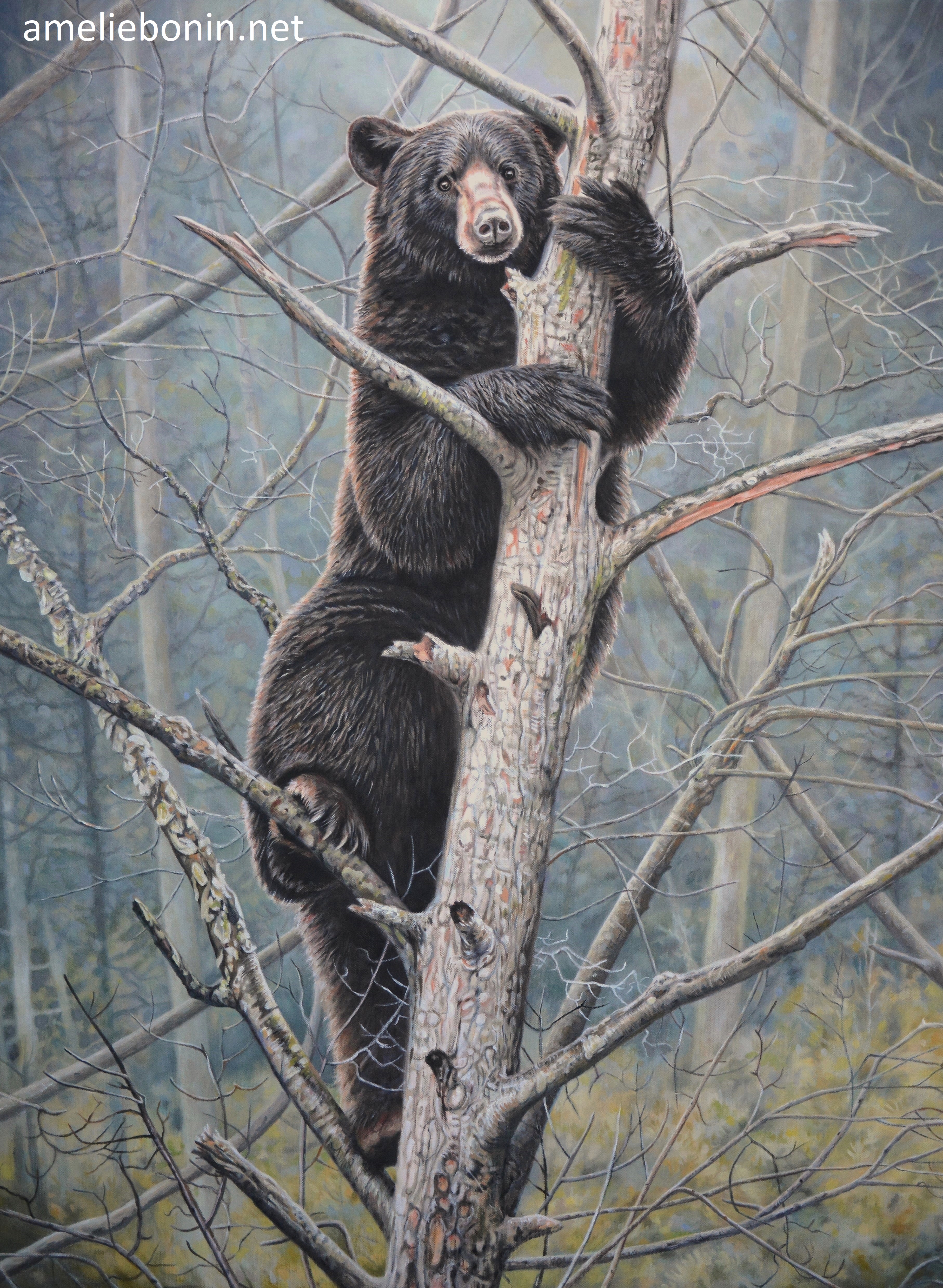 L'amoureux des arbres